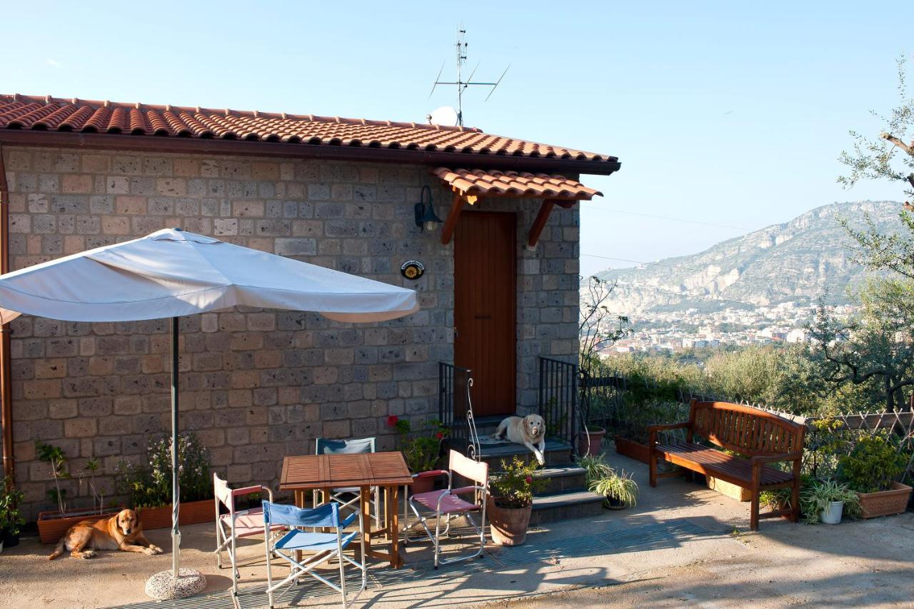 Agriturismo L'Olivara Piano di Sorrento Exterior foto