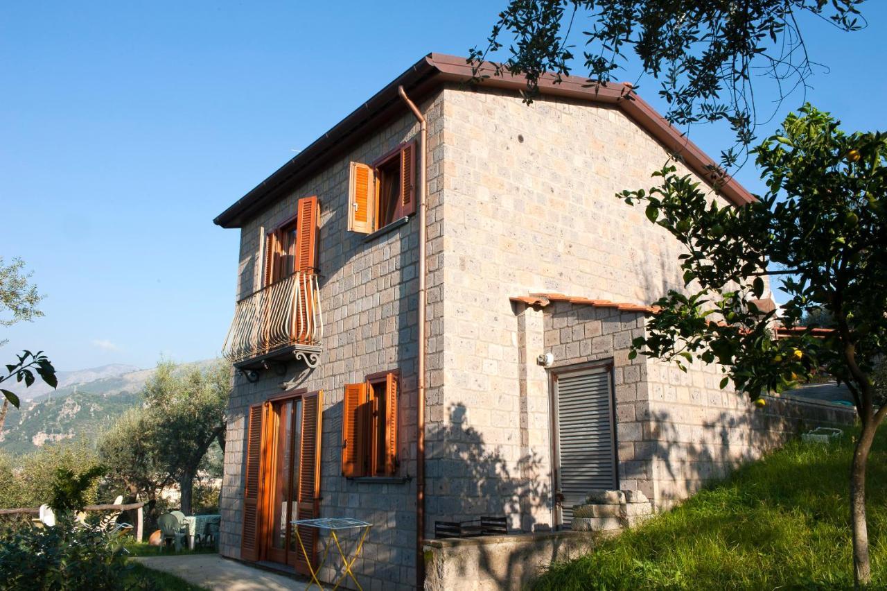 Agriturismo L'Olivara Piano di Sorrento Exterior foto