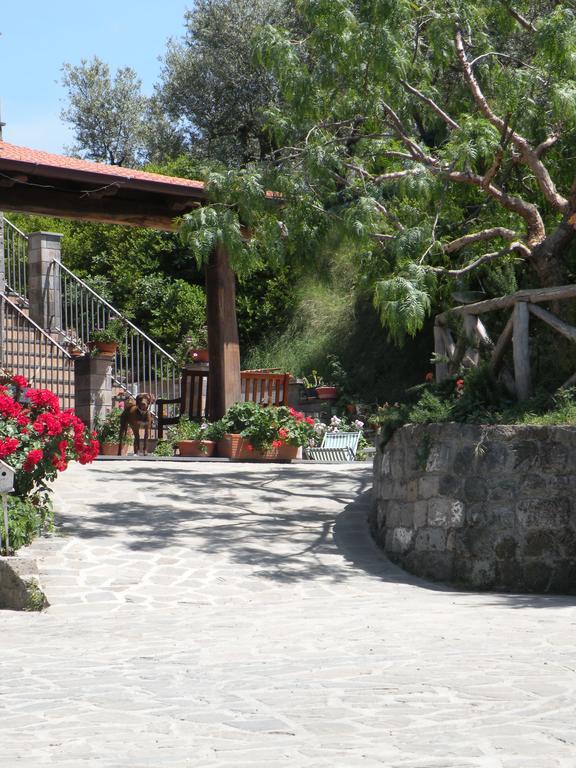 Agriturismo L'Olivara Piano di Sorrento Exterior foto