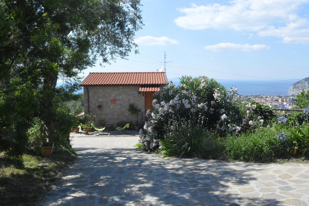 Agriturismo L'Olivara Piano di Sorrento Exterior foto