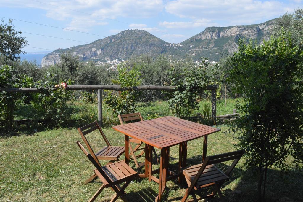 Agriturismo L'Olivara Piano di Sorrento Exterior foto