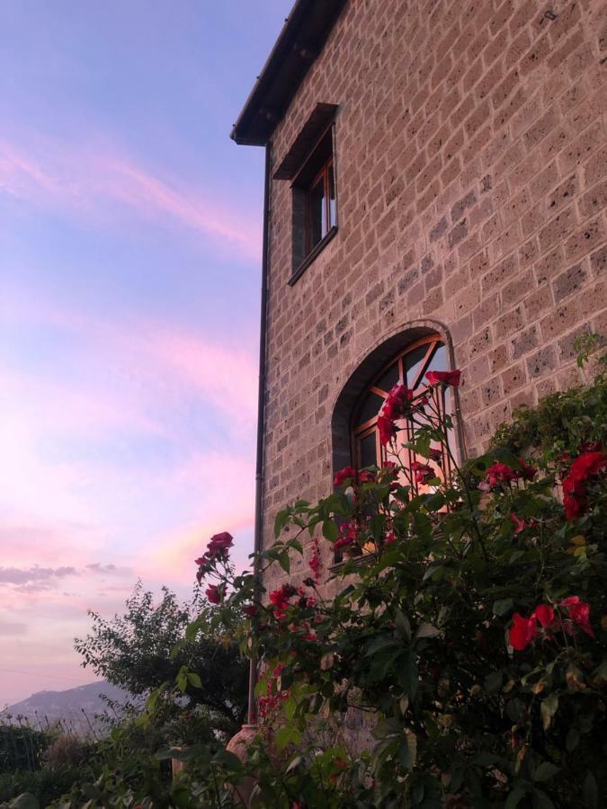 Agriturismo L'Olivara Piano di Sorrento Exterior foto